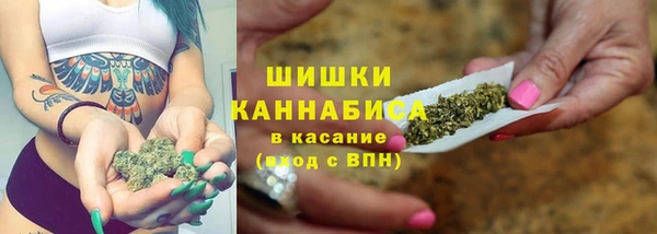 твердый Богородск