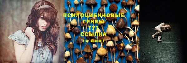 MESCALINE Богородицк